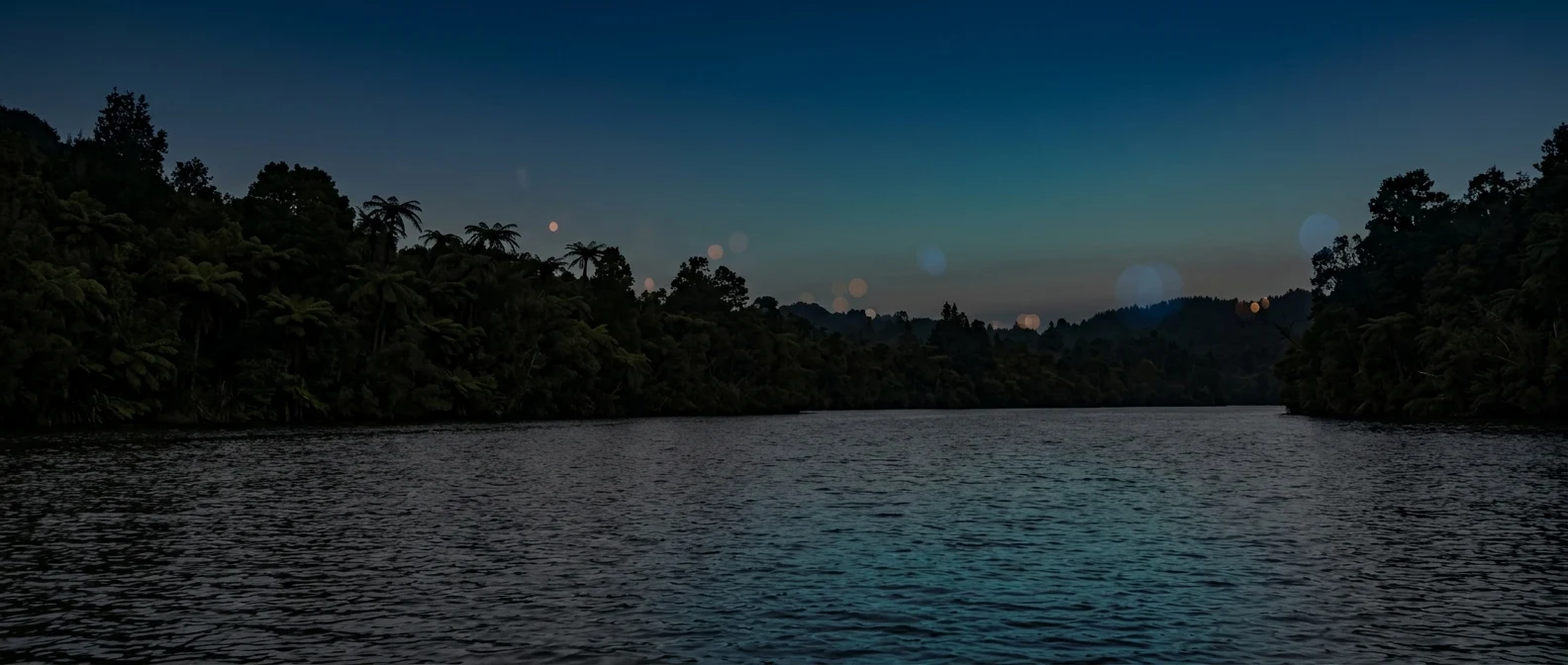 Scenic New Zealand coastal landscape at dusk